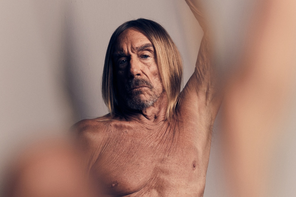 iggy-web.jpg