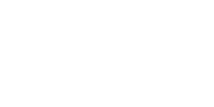 logo VRT Max